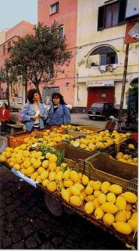 Procida. Profumi e sapori.